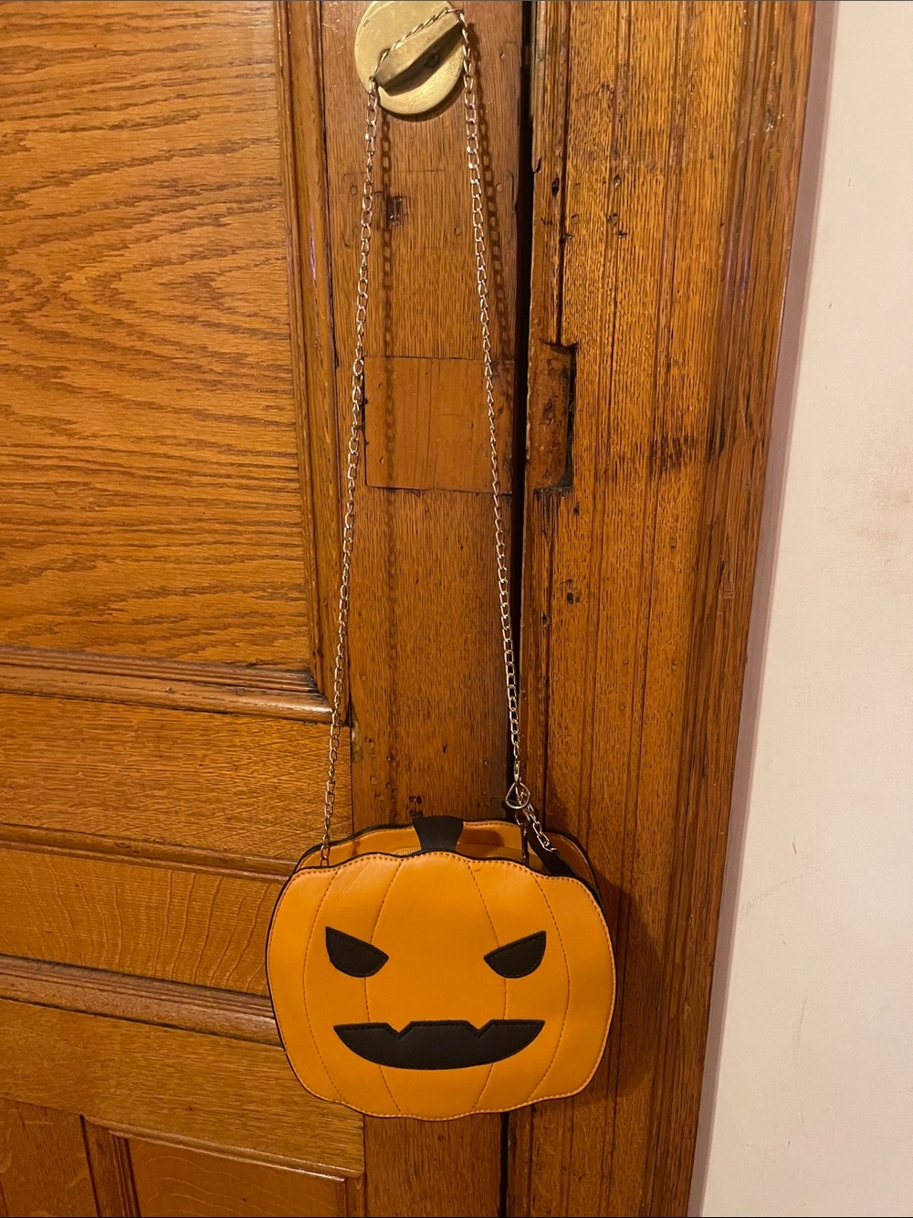 Orange Pumpkin Crossbody Bag/Purse